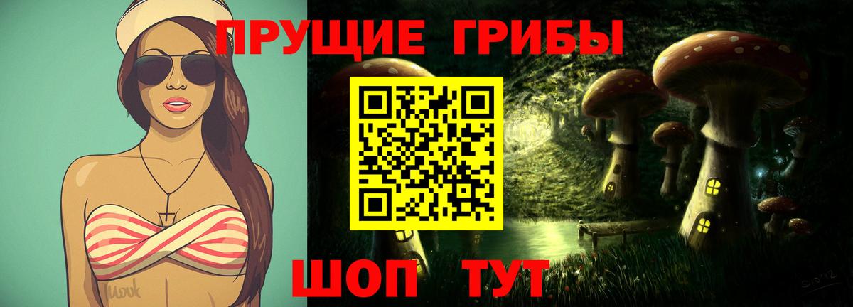 Галлюциногенные грибы Psilocybine cubensis Великий Новгород
